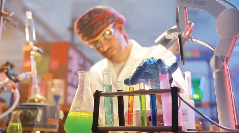 د.رجب العويسي يكتب: ثورة الاقتصاد تبدأ من التعليم