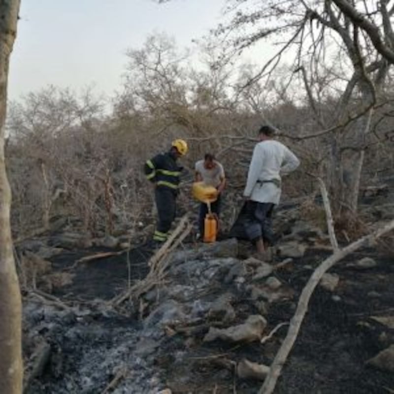 بالصور: حريق يلتهم الكثير من الأشجار و الحشائش برخيوت