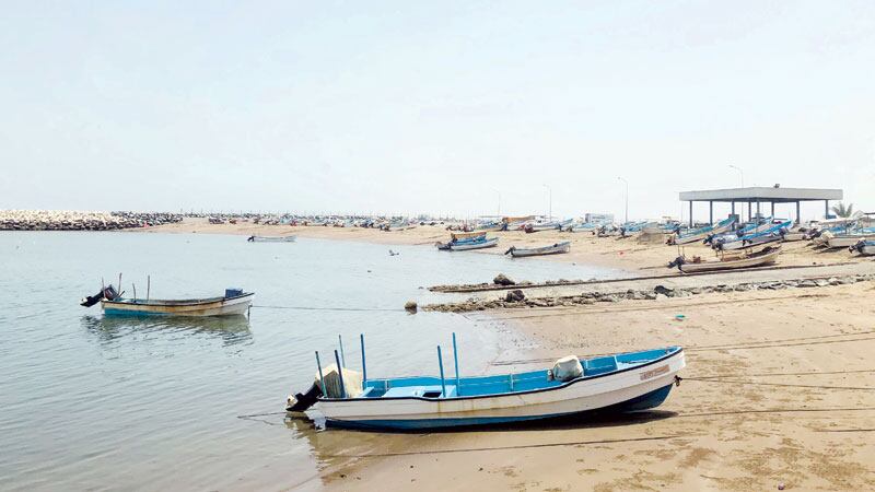 “الثروة الزراعية والسمكية” تصدر إعلانًا لملاك سفن الصيد الحرفي