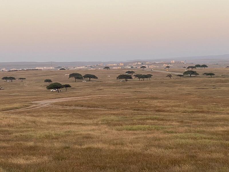 وسائل التواصل ساعدت في تداوله: دبرارتٌ.. فنٌ محلي من ظفار