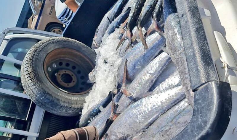 8 مخالفات في عدد من السفن