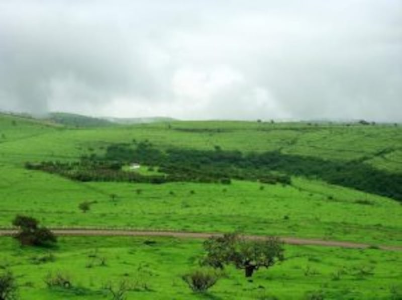 بالصور والخريطة: سهل جوجب.. السهل والمرعى والهدوء