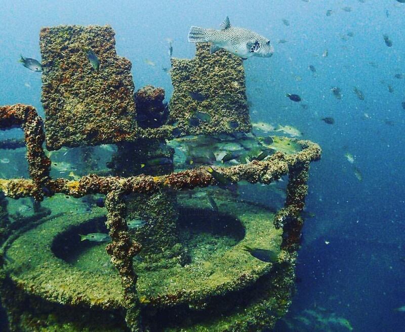 بالصور: شاهد السفينة التي أُغرقت بأوامر من السلطان قابوس قبل 20 عامًا