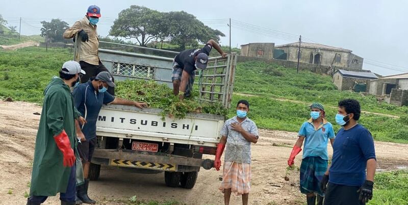 بالصور: جهود تطوعية مجتمعية لاجتثاث نبتة “البارثنيوم” بظفار