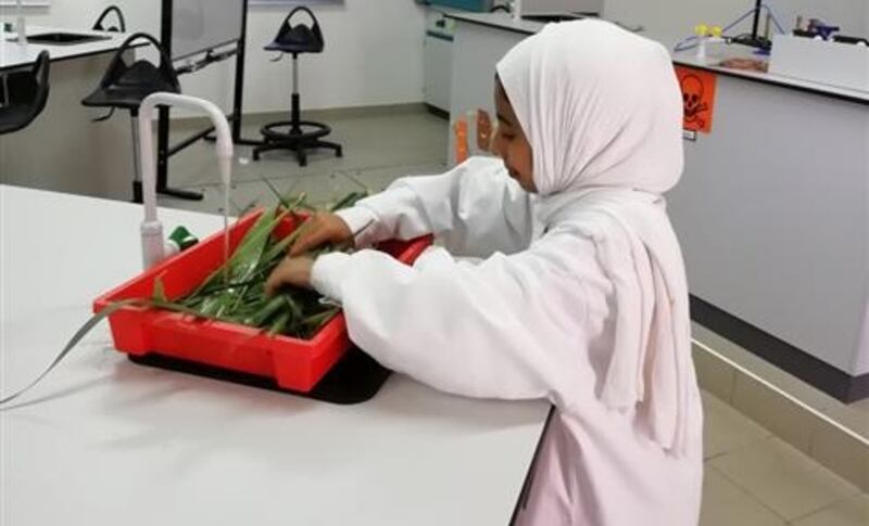 فريق تعليمية الداخلية يحقق المركز الأول في مسابقة كويتية