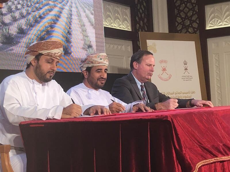 بالشراكة مع جامعة أمريكية: تأسيس مركز بحثي لأشجار النخيل في السلطنة