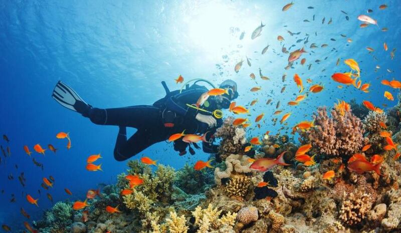 شاب عماني يحكي قصة نجاحه في مشروع للمغامرات