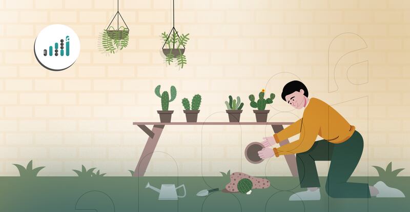 7 طرق للعناية بنبات الصبار في منزلك