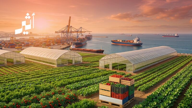 من الاكتفاء إلى التصدير: كيف تعيد سلطنة عُمان تشكيل معادلة الأمن الغذائي؟