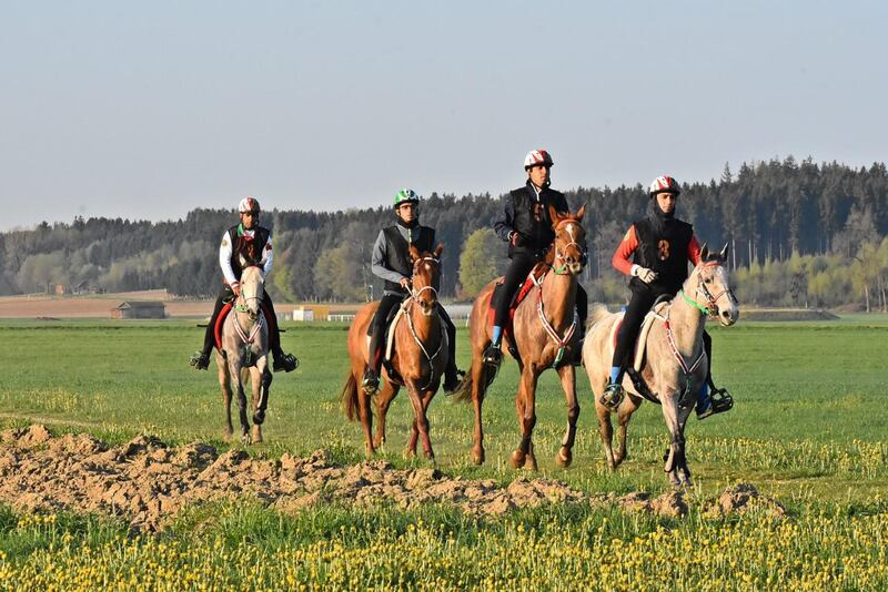مدير الخيالة السلطانية يؤكد جاهزية فرسان السلطنة لبطولة العالم للقدرة بإيطاليا