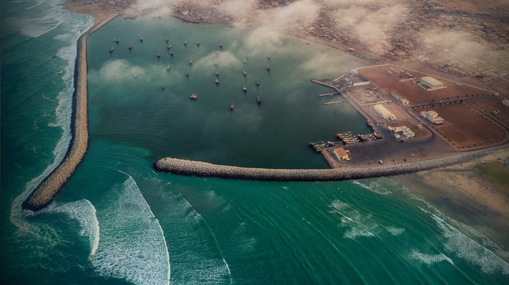 22 قرية بجعلان بني بوعلي تُصدِّر أسماكًا ذات جودة عالية