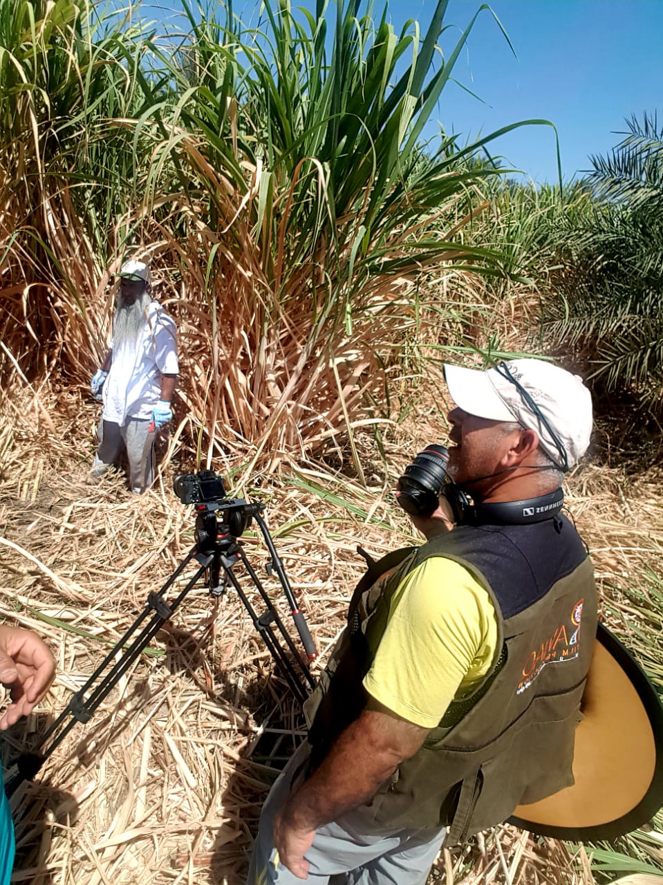 فيلم وثائقي عُماني سيعرض في مهرجان بكوريا الجنوبية