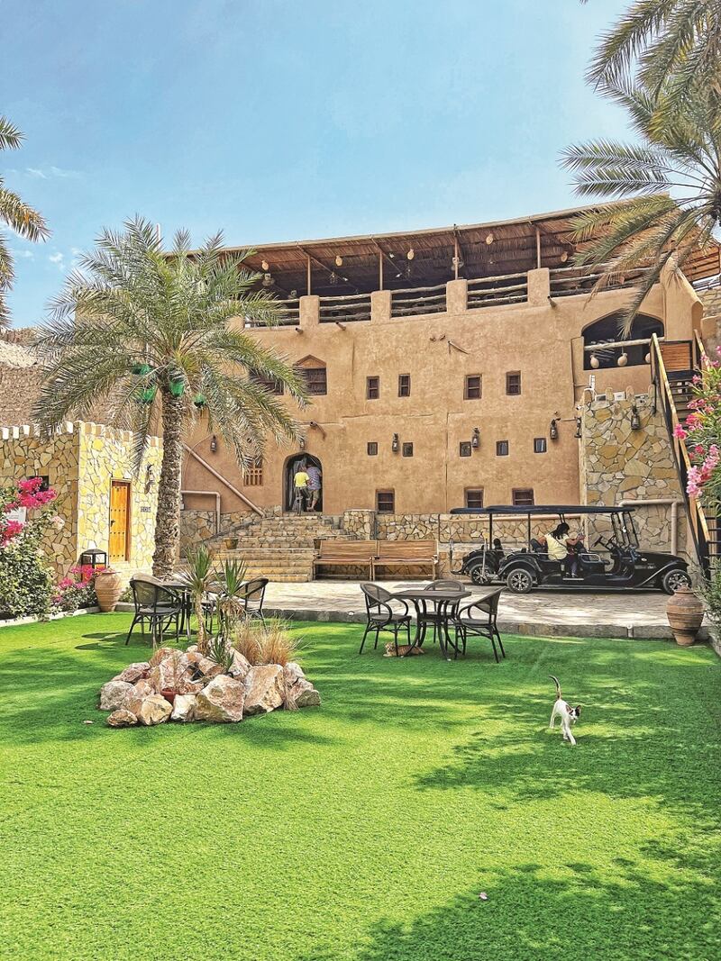 بعد أن زارها: كاتب يصف نزوى بـ “الجنة التاريخية”