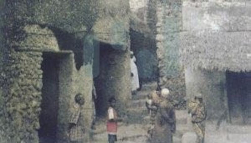 الحبّ الذي أوصل العمانيّين النباهنة إلى حكم كينيا