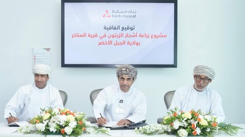 بنك مسقط يوقّع اتفاقية شراكة لزراعة 300 شجرة زيتون في الجبل الأخضر