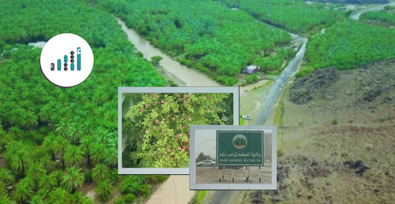 خطط لقضاء يوم جميل في المصنعة