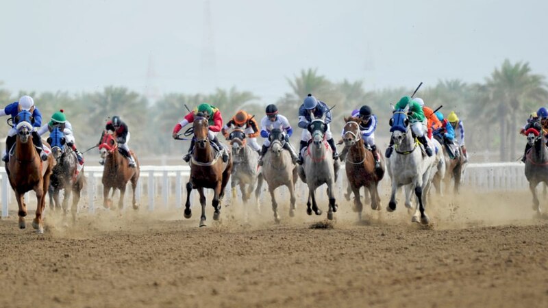 السبت القادم انطلاق موسم سباقات الخيل وفق إجراءات احترازية