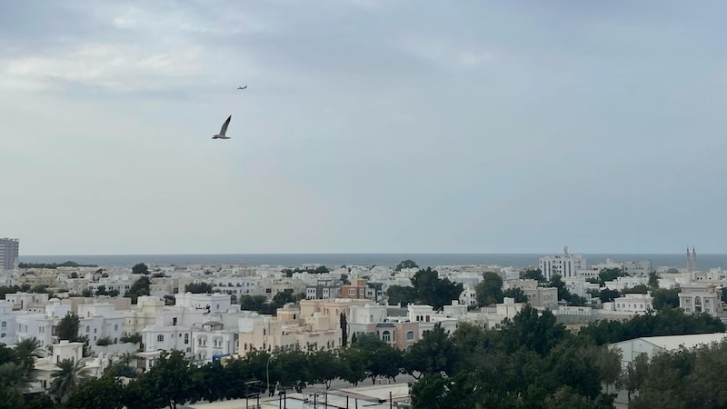 بَوْحٌ إلى عُمان من شاعر سوري