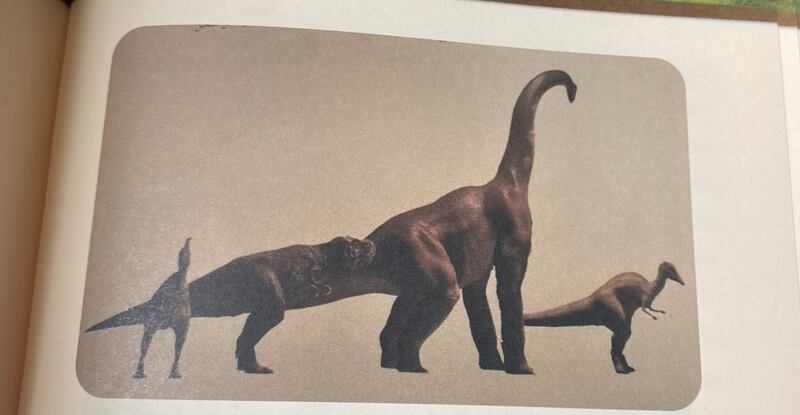 ديناصورات وآثار حضارية قديمة من شمال إزكي حتى السيب