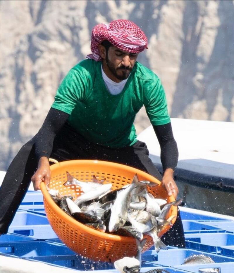 خيرٌ وفير من مشروع استثماري للأسماك في مسندم