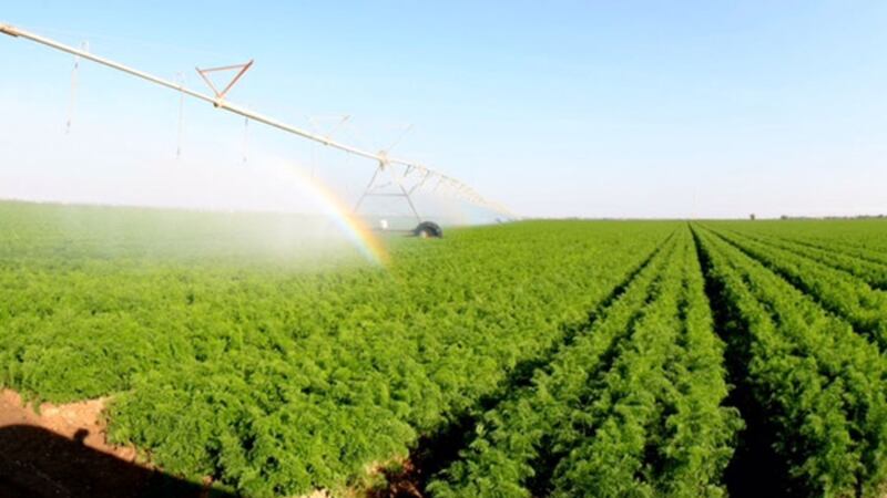 “موسمي” قروض تنموية مدعومة للمزارعين تعّرف عليها