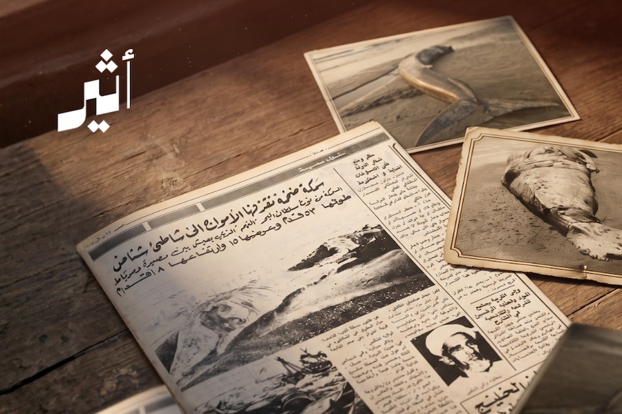 قبل نحو نصف قرن: حين قذف البحرُ “سلطانه” إلى شاطئ شناص