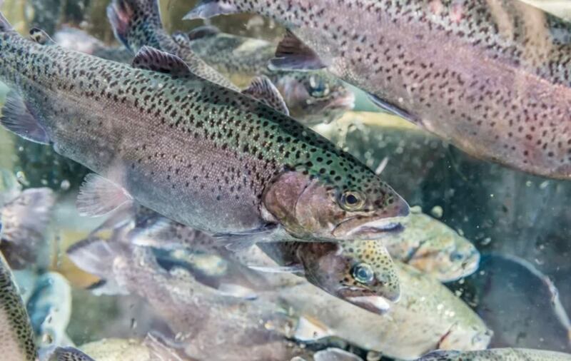 استثمار عماني في سنغافورة بنحو 9 ملايين دولار