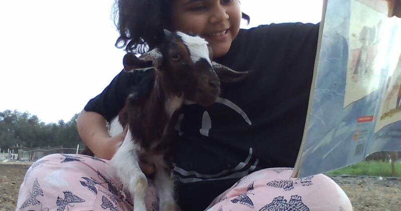 بالصور: طفلة عمانية تقرأ الكتب للحيوانات