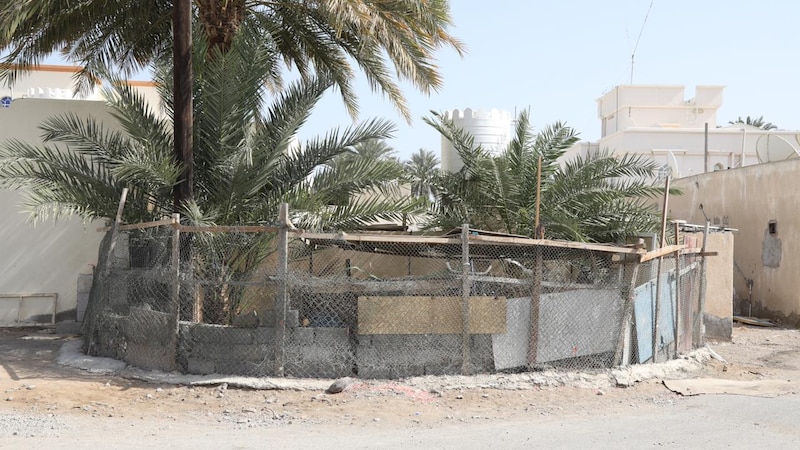 أكثرها في قريات: بلدية مسقط توضح الإجراءات حول الحيازات العشوائية