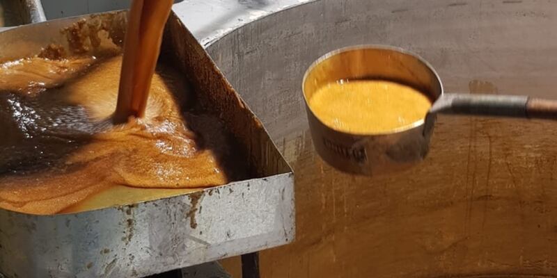 بالصور: منح تسجل 25 طنًا من إنتاج قصب السكر