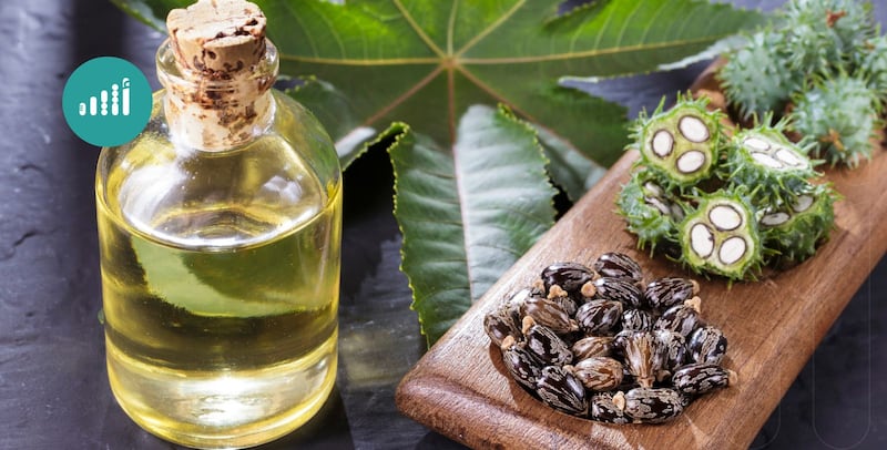 زيت الخروع: ثروة محلية تحمل فوائد صناعية وطبية