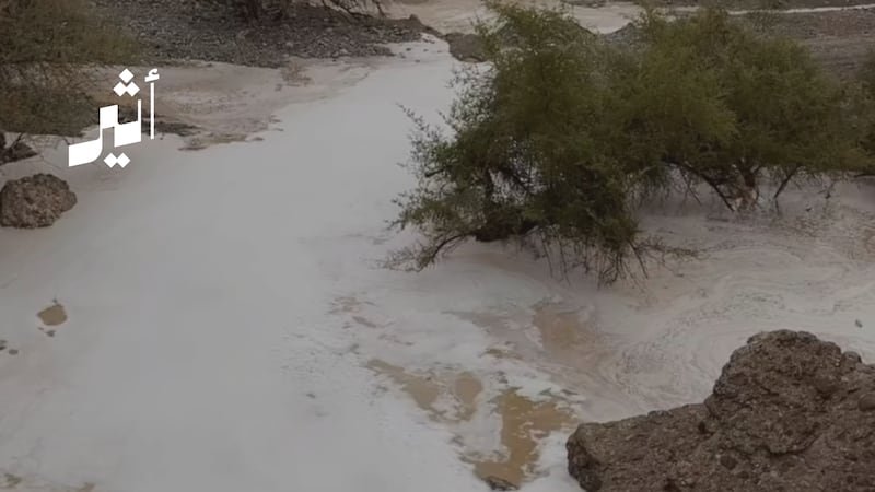 ينتظر عبدالله البادي الأمطار؛ لينثر البذور في الأودية والجبال