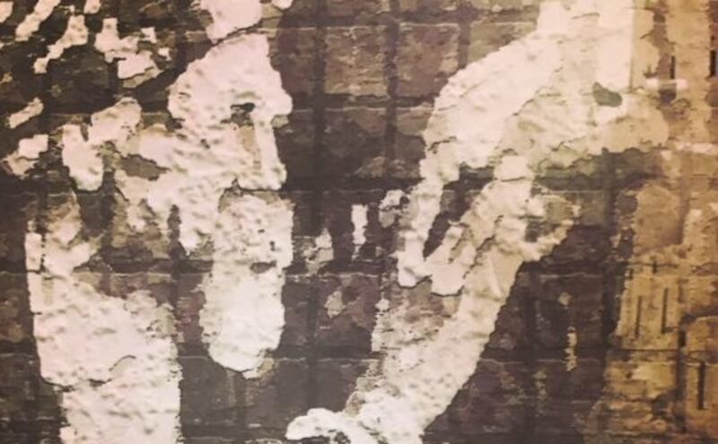 من صحار، إلى الأندلس، “ابن الذهبي”.. العماني الذي أبهر العالم في الفيزياء، والطب