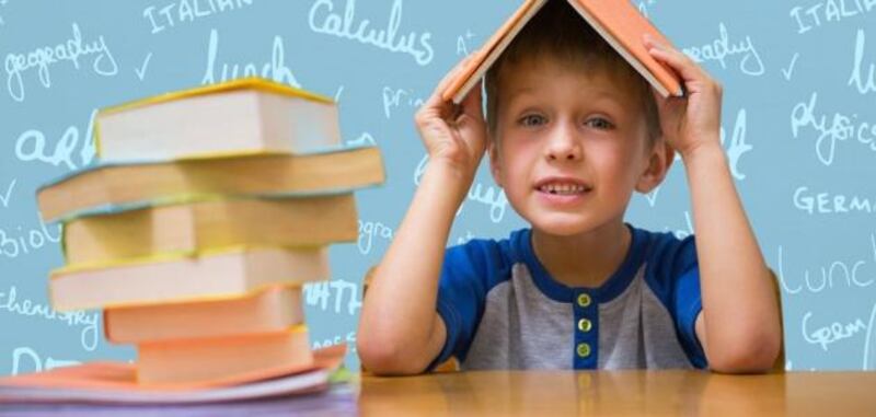 هل أصبح تطبيق مسار التعليم ثنائي اللغة في المدارس الحكومية ضرورة؟