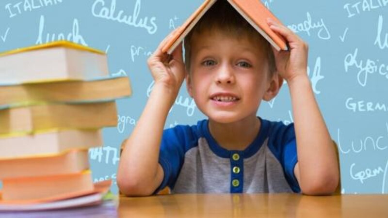 هل أصبح تطبيق مسار التعليم ثنائي اللغة في المدارس الحكومية ضرورة؟