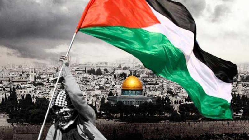 إمّا أن نكون وإمّا أن نُساق كالقطيع