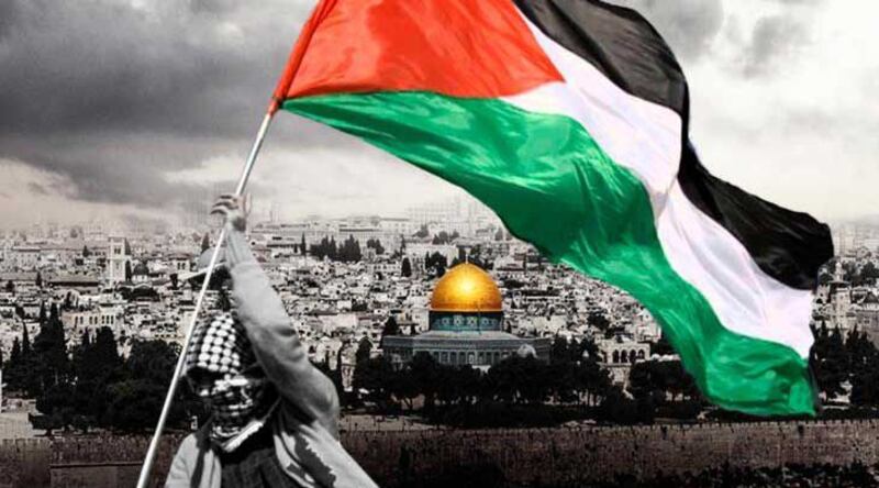 إمّا أن نكون وإمّا أن نُساق كالقطيع