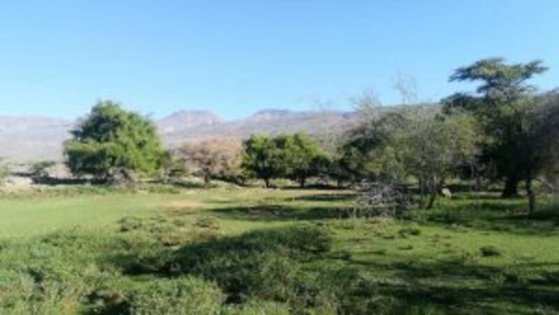 وجهة للاسترخاء والتخييم: قرية عمانية تكتسي بالأخضر فترة طويلة