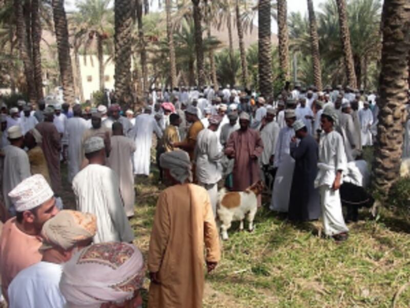 الهبطة أول أفراح العمانيين بعيد الفطر… فماذا تعرف عنها؟