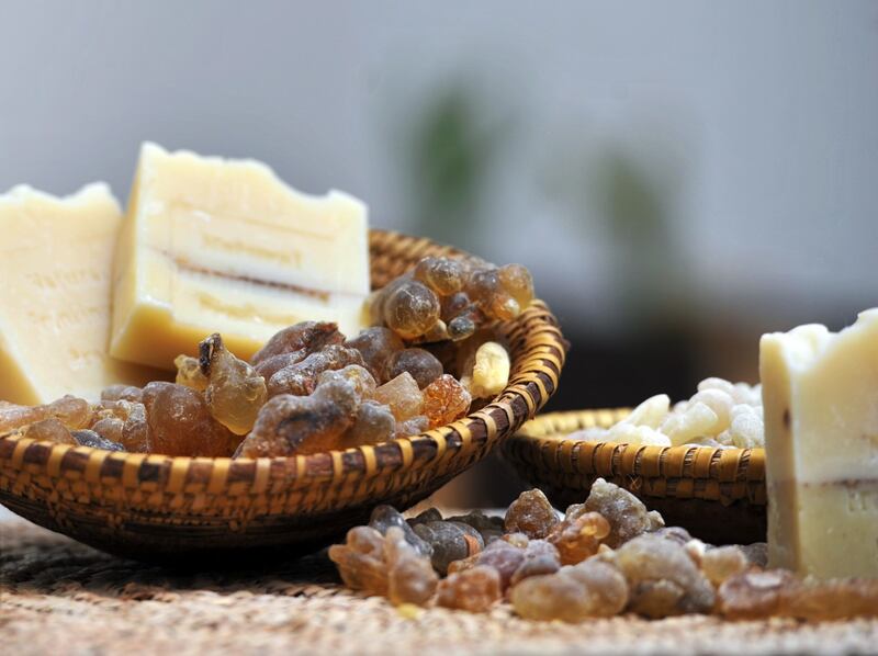 تقرير: تجارة اللبان سوق اقتصادي يتطور محليًا وإقليميًا