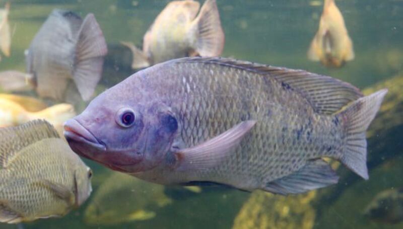 أسس شركته بعد التقاعد، وحقق إنجازات في فترة زمنية قصيرة