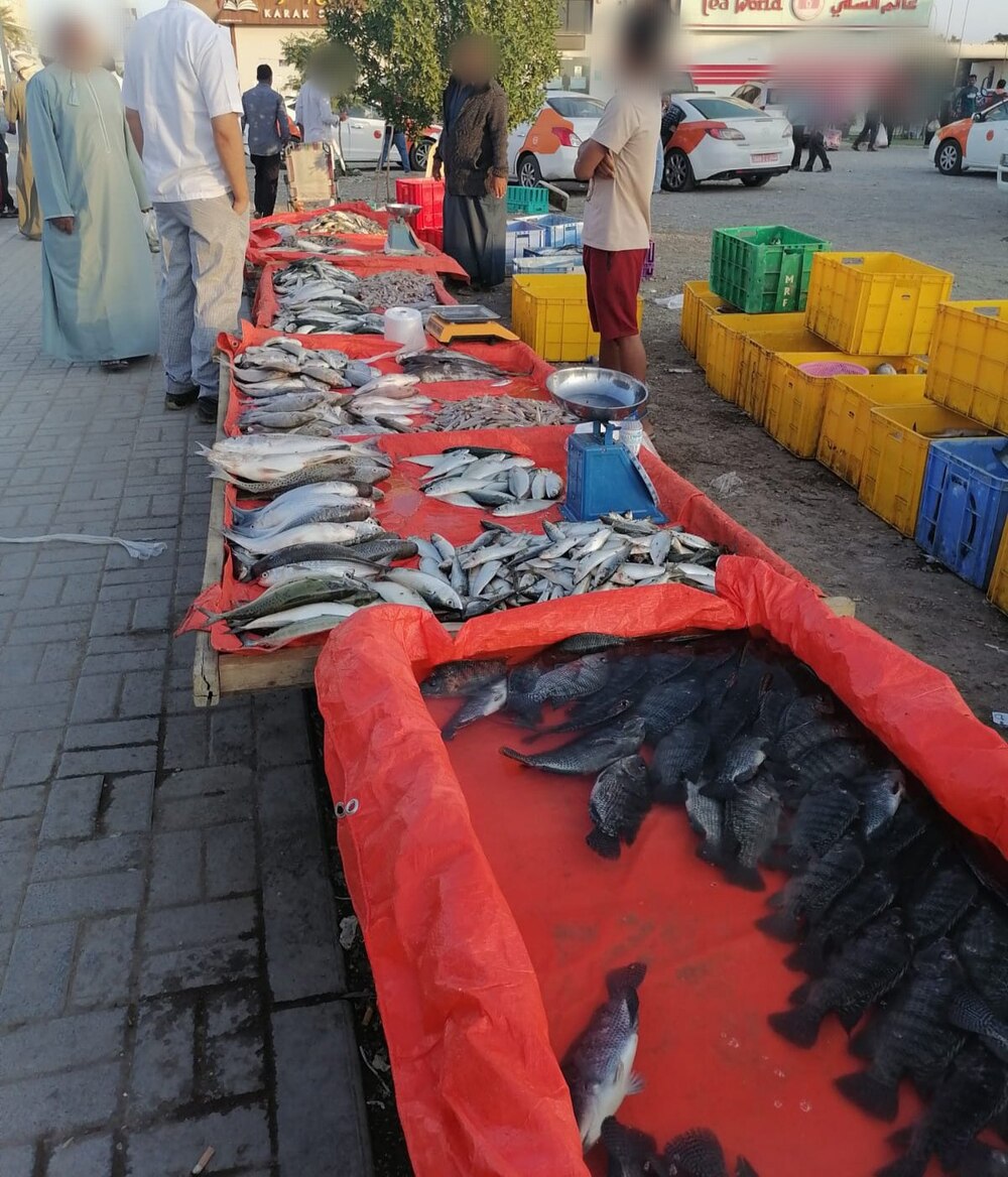 بالصور: ضبط باعة متجولين