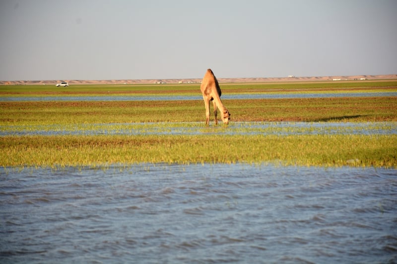 بالصور: “قوع الجوبة” قرية عُمانية يقصدها الزوار للراحة والاستجمام
