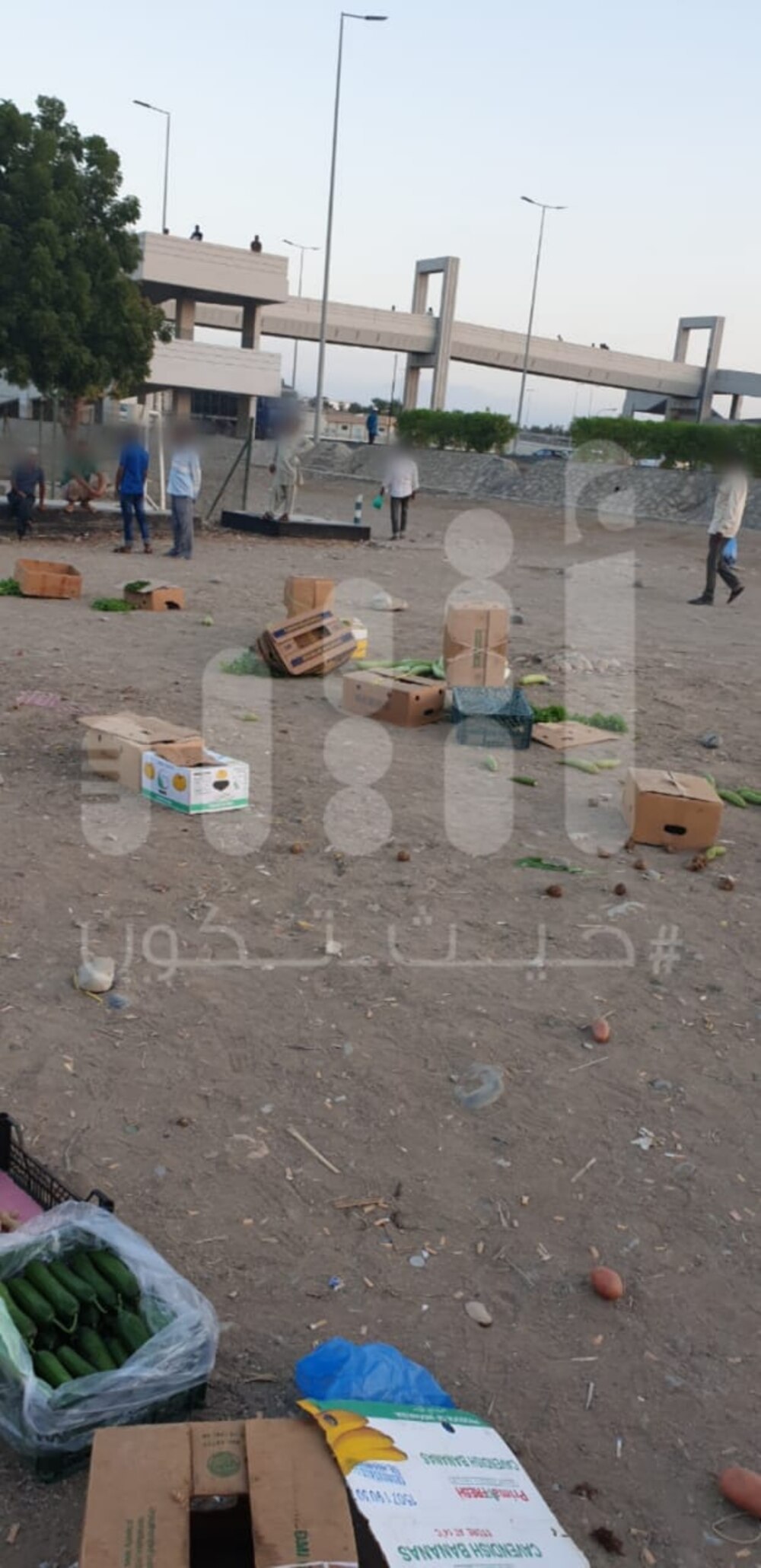 بالصور: وافدون يُزاحمون مواطنين في مصدر رزقهم