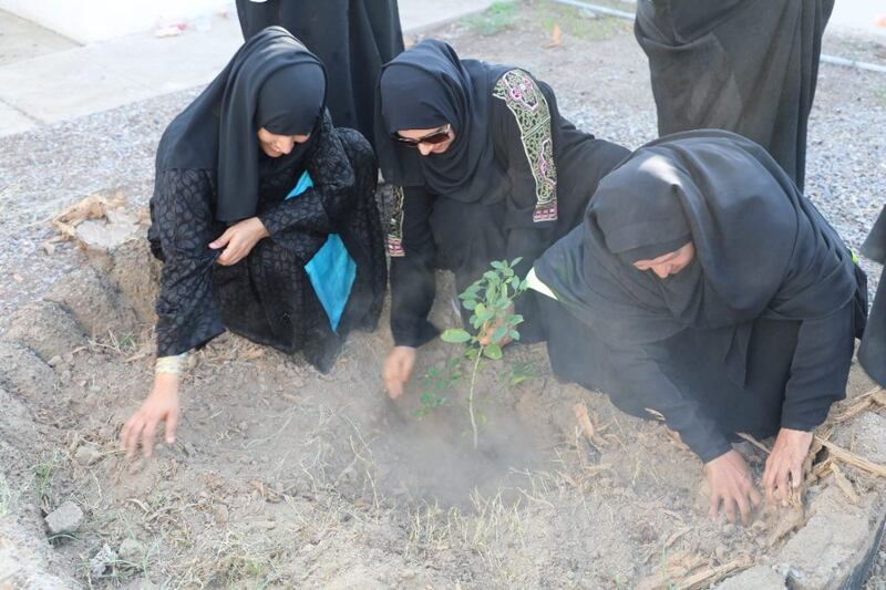 بمناسبة #يوم_الشجرة: فريق مبادرون يطلق حملة “البساط الأخضر مسؤوليتنا جميعًا”