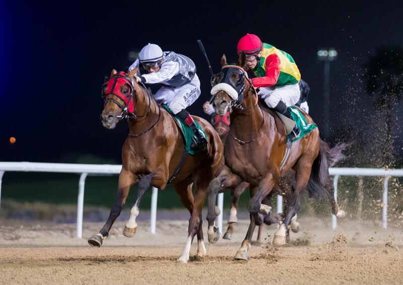 المهر زاهي يحقق المركز الأول في الإمارات