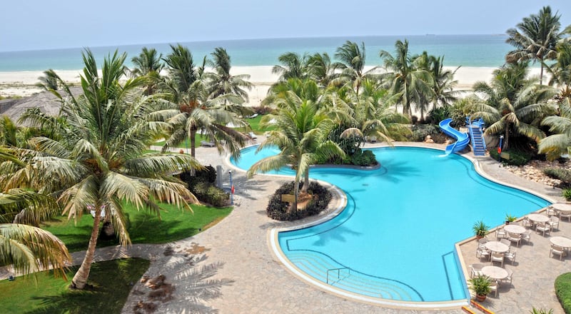 بالأرقام: تعرف على زراعة نخيل النارجيل في ظفار