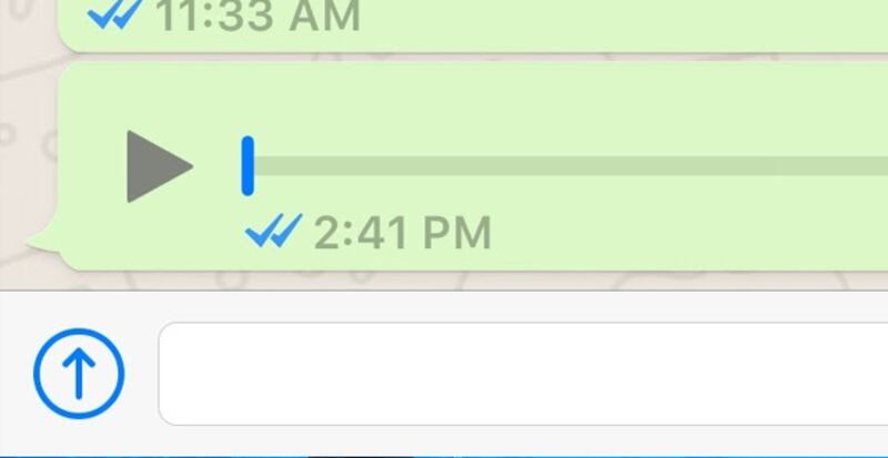 الشرطة تؤكد: ستتم ملاحقة صاحب المقطع الصوتي قانونيا