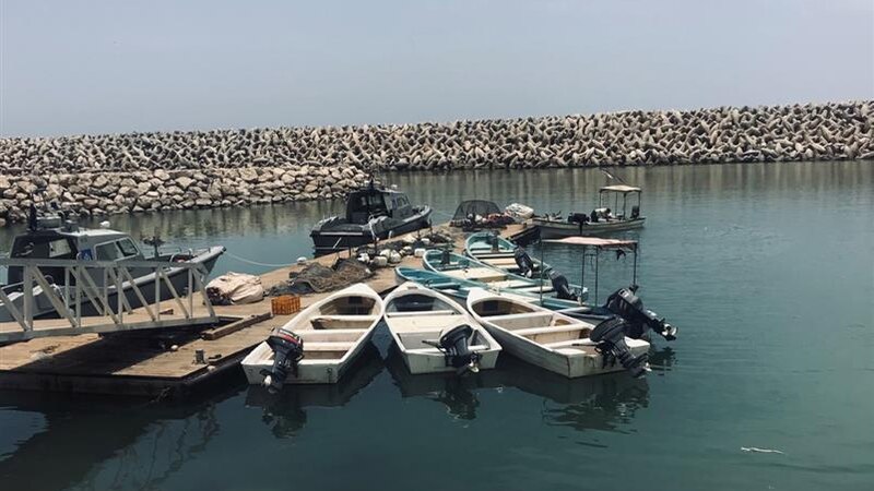 أكثر من 400 صياد يستفيدون من ميناء الصيد البحري بضلكوت