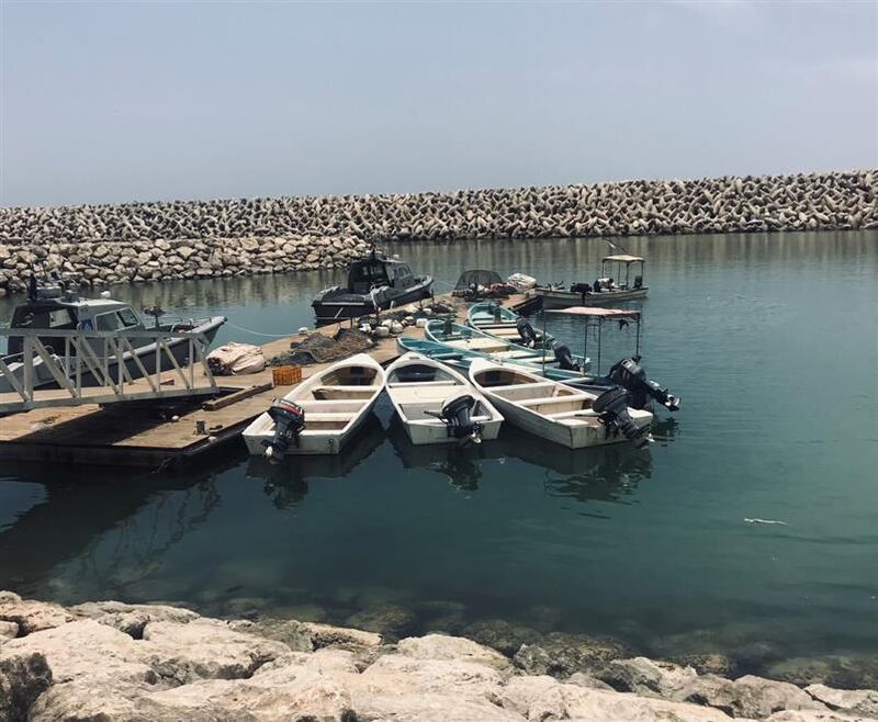 أكثر من 400 صياد يستفيدون من ميناء الصيد البحري بضلكوت